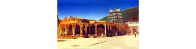 102. திருமாலிருஞ்சோலை (கள்ளழகர் கோயில்)